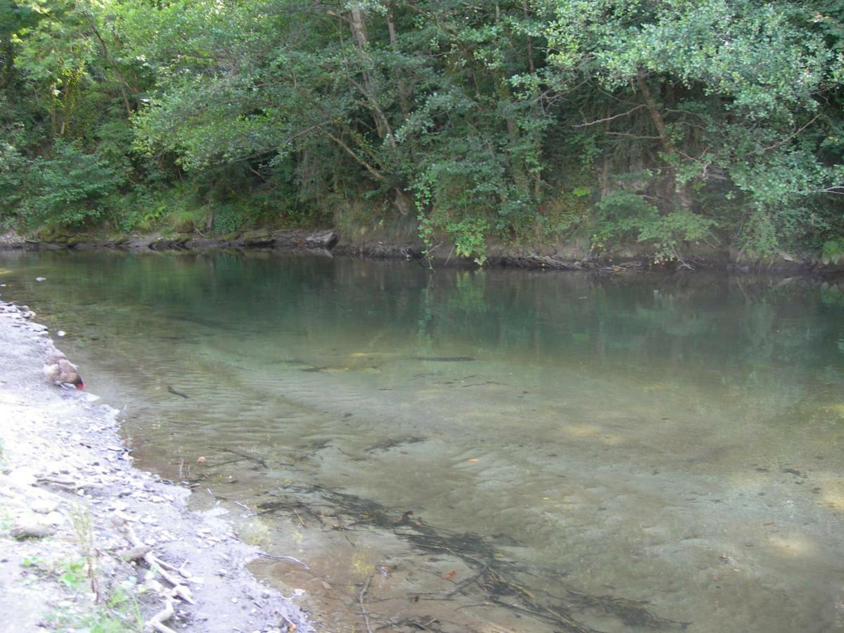 Appartement Les Rives De L'Ariege Luzenac Eksteriør bilde